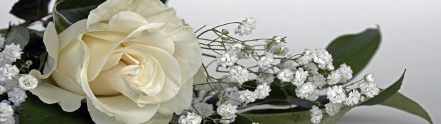 white roses banner